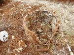 Находки экспедиции-1