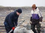 Погрузка, разгрузка, встреча, проводы-3