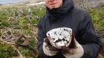 Находки экспедиции-2